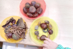 Conocemos-los-frutos-del-otono-Aula-2-3-anos