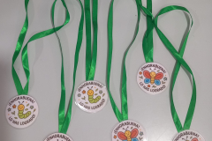 LV_Medalla-de-fin-de-adaptacion
